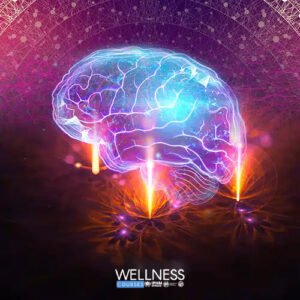 Neuroscience Coach Training